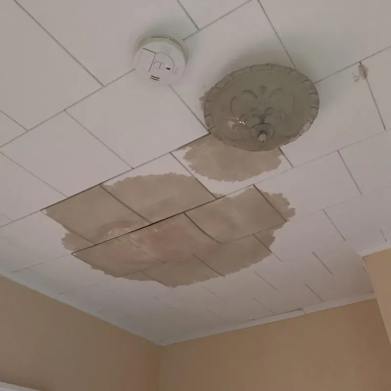 Ceiling Water Damage Repair in Telford, PA
