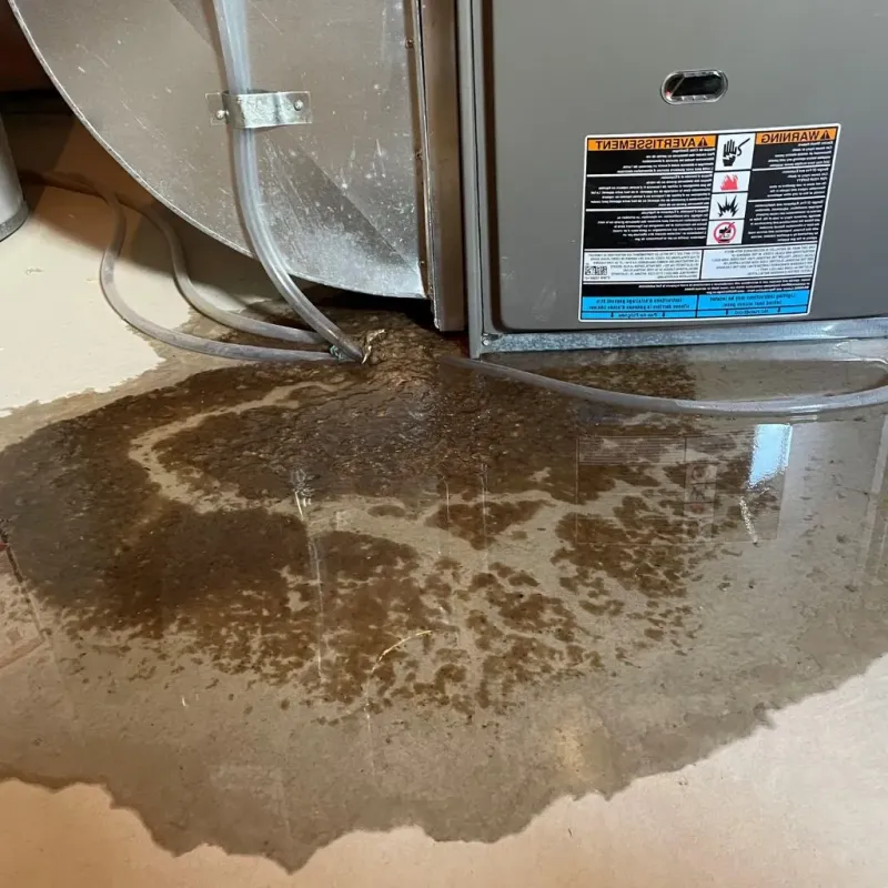 Pipe Burst and Leak Restoration in Telford, PA