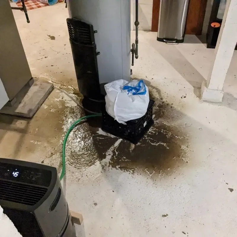 Sewage Backup Cleanup Service in Telford, PA